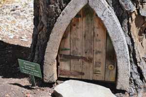 carrick hill 2014 (26)